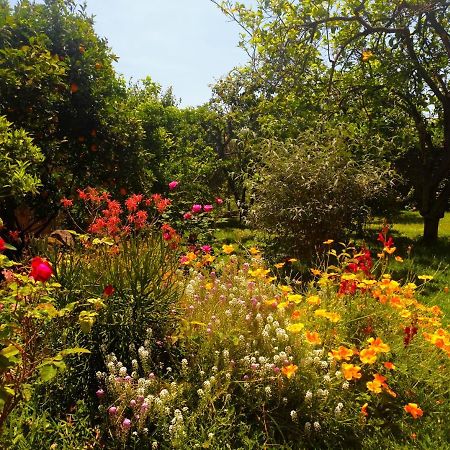B&B Casanera Riposto Dış mekan fotoğraf