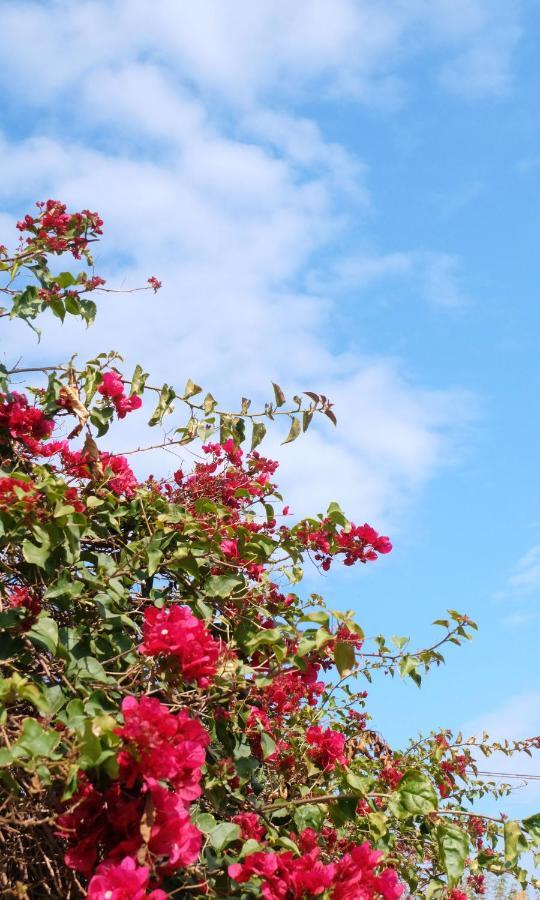 B&B Casanera Riposto Dış mekan fotoğraf