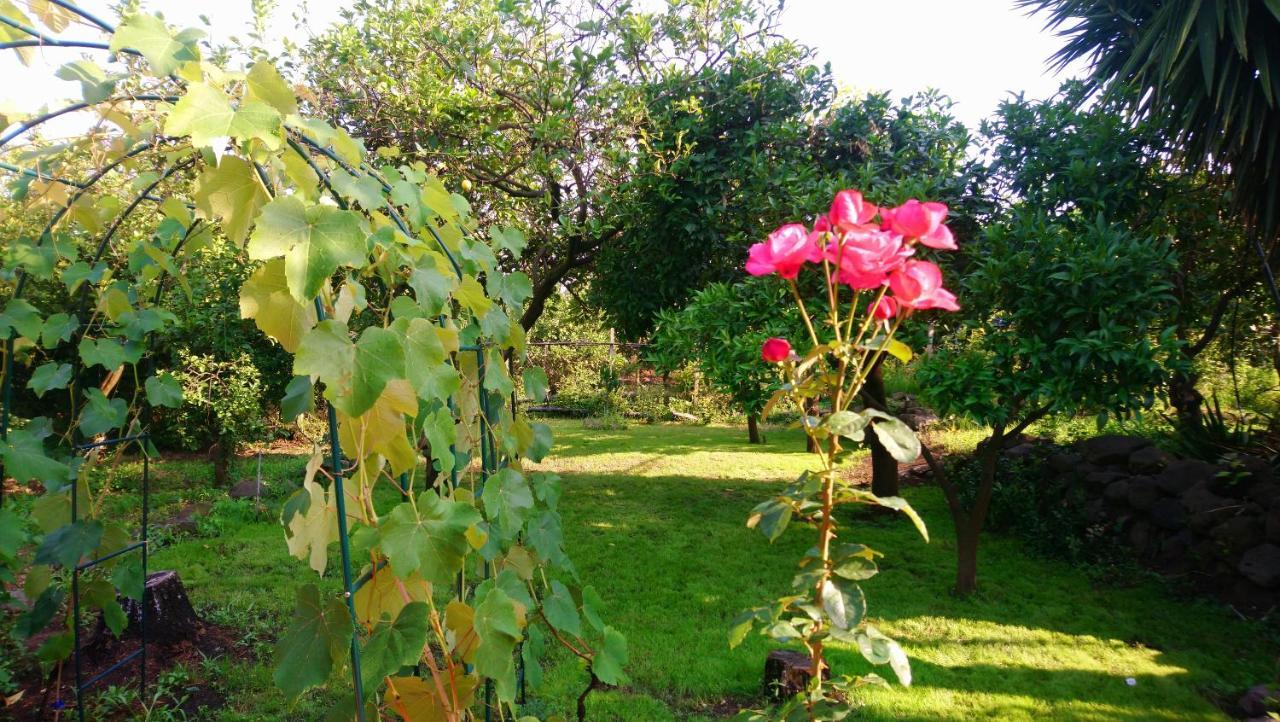 B&B Casanera Riposto Dış mekan fotoğraf