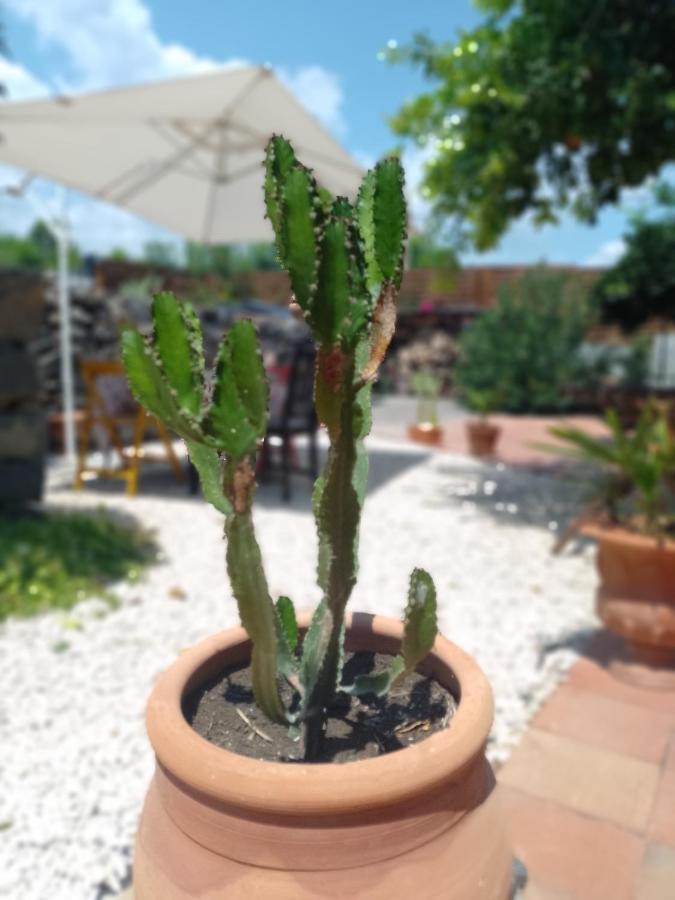 B&B Casanera Riposto Dış mekan fotoğraf