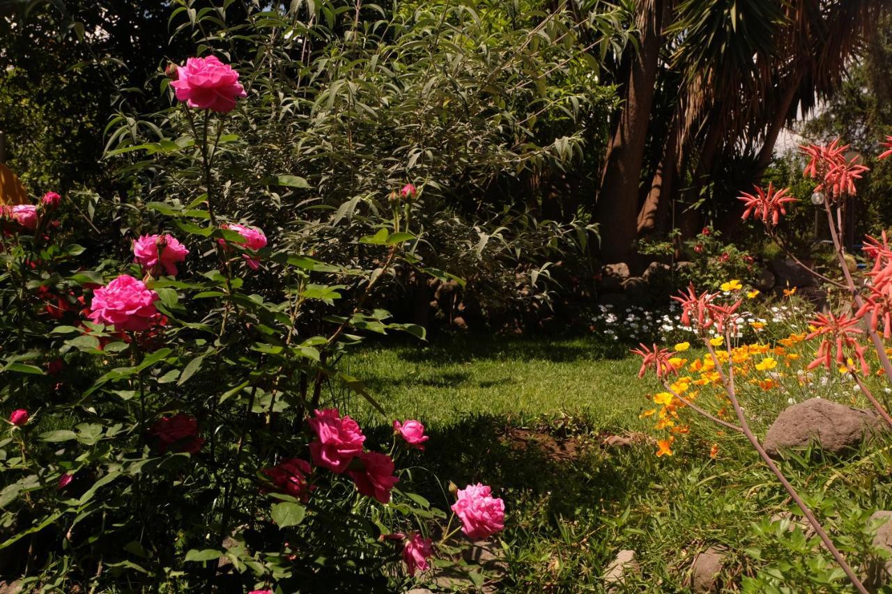 B&B Casanera Riposto Dış mekan fotoğraf