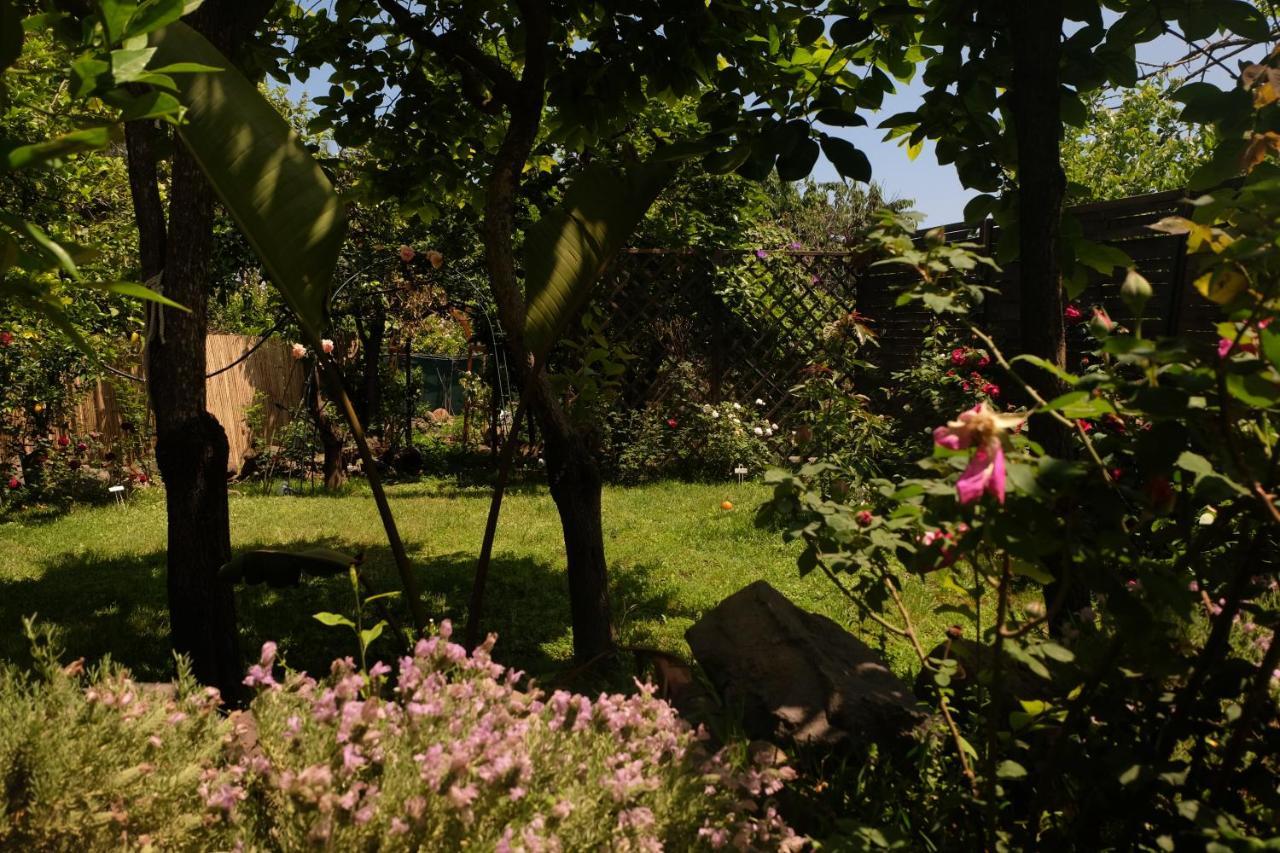 B&B Casanera Riposto Dış mekan fotoğraf