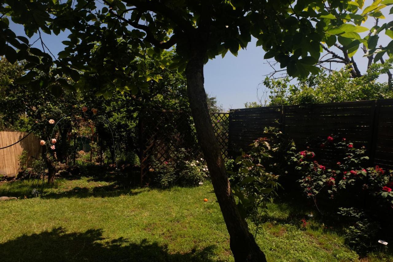 B&B Casanera Riposto Dış mekan fotoğraf