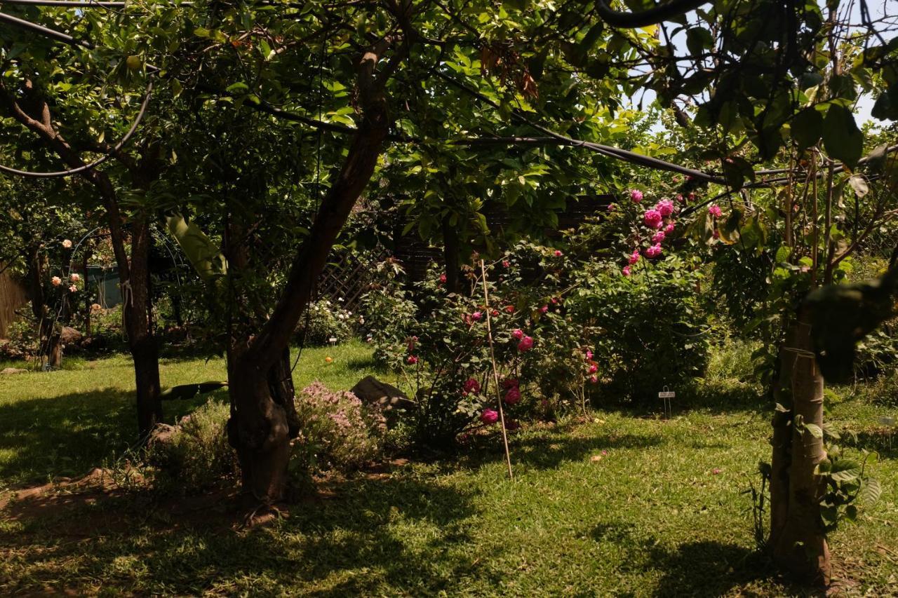 B&B Casanera Riposto Dış mekan fotoğraf