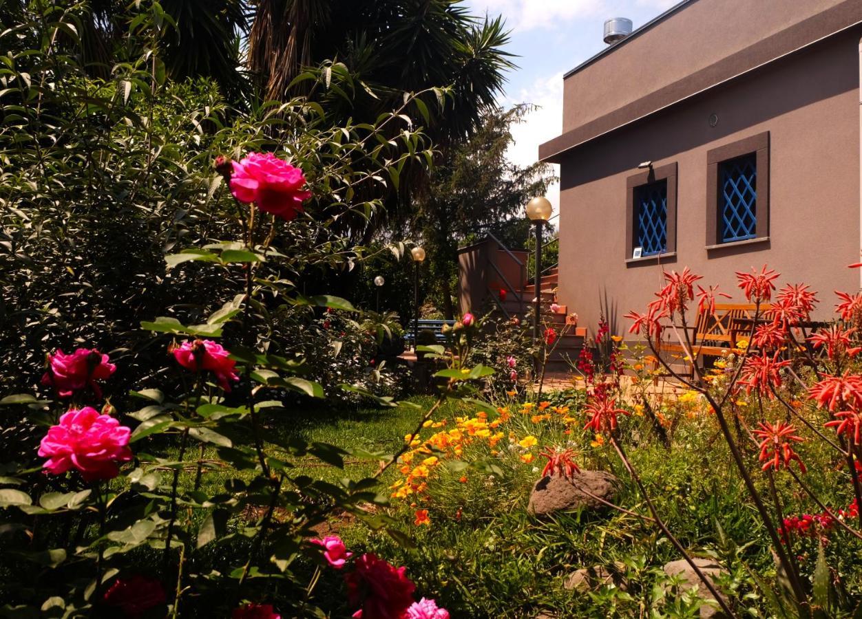 B&B Casanera Riposto Dış mekan fotoğraf