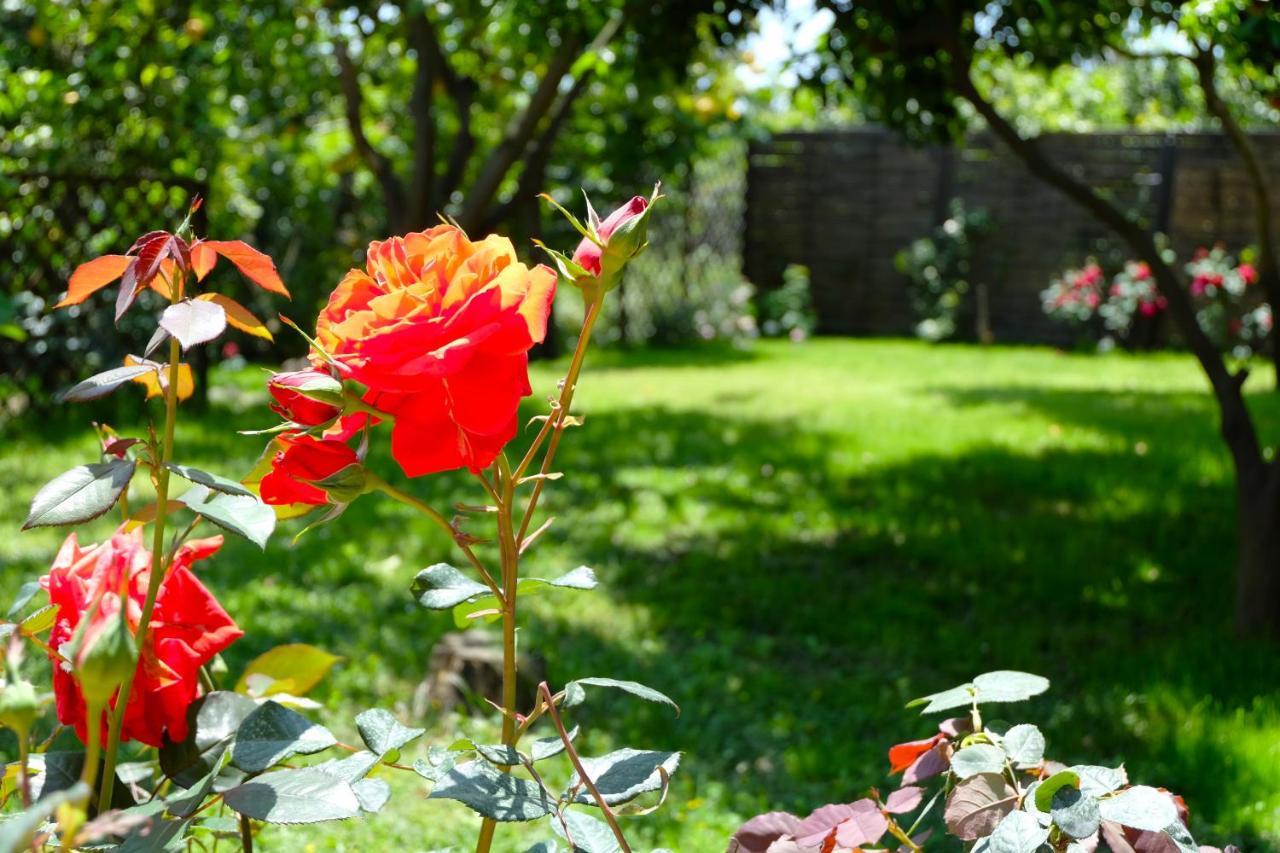 B&B Casanera Riposto Dış mekan fotoğraf