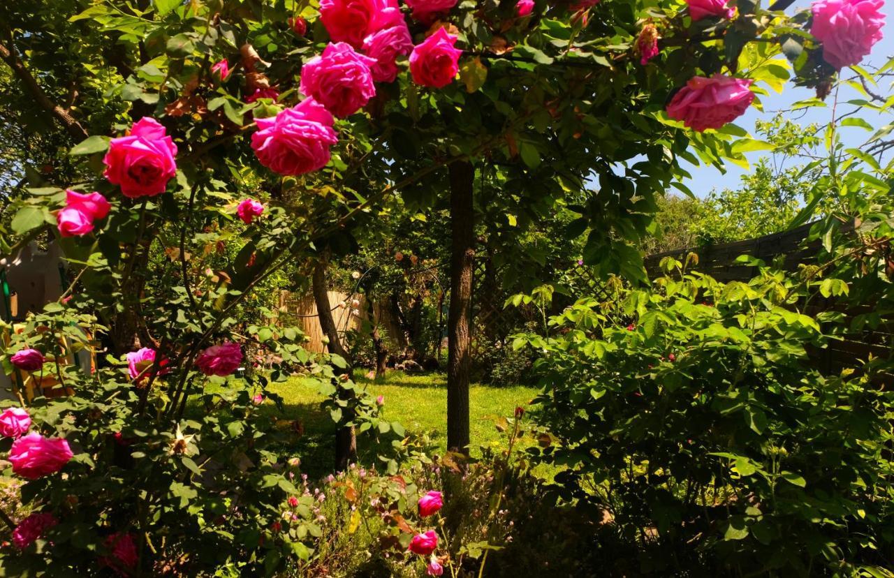 B&B Casanera Riposto Dış mekan fotoğraf