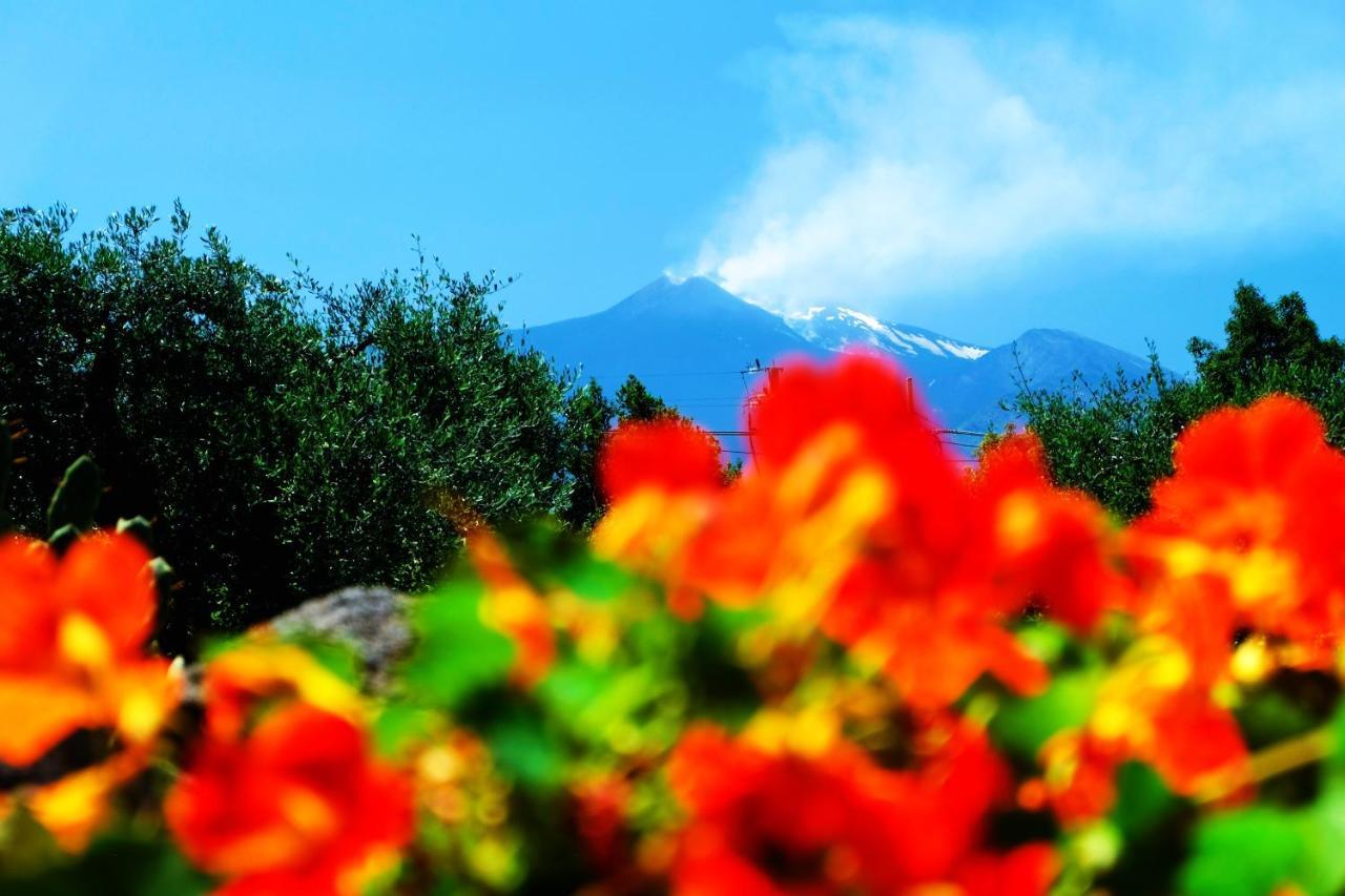 B&B Casanera Riposto Dış mekan fotoğraf
