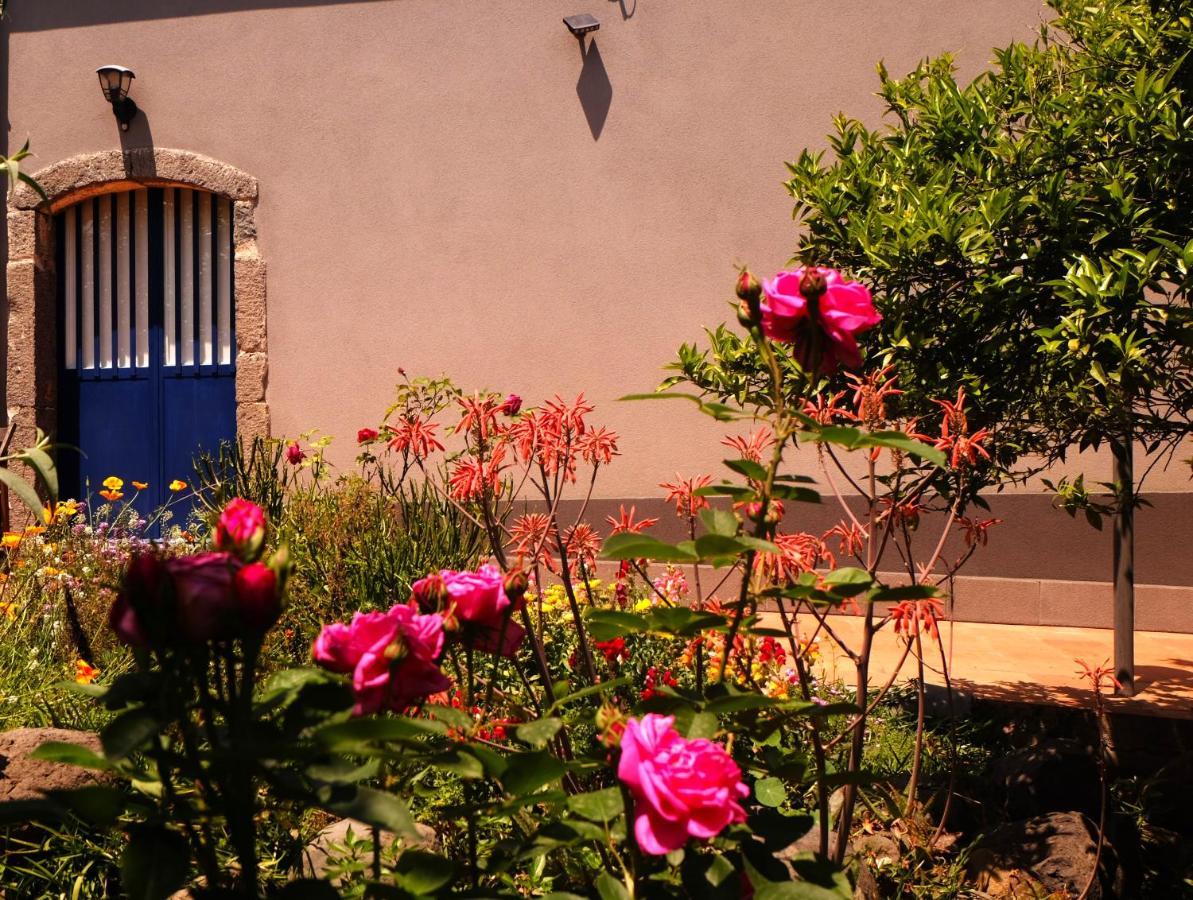 B&B Casanera Riposto Dış mekan fotoğraf